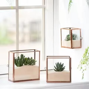 Trend Display Metal Terrarium Glass Planter Elegant Indoor Plant Case Stylish Home Decor - Product Image 3