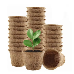 Maceta Biodegradable de Fibra de Coco - Maceta Ecológica para Plántulas para Cultivo en Viveros e Invernaderos - Product Image 5