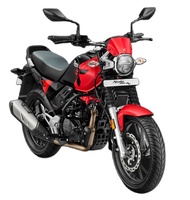 Grafis bergaya Retro sepeda motor Xpluse 200T 4V Neo dari India