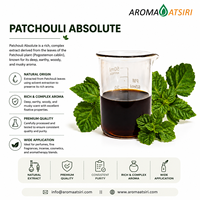 Absolue de Patchouli Indonésien Authentique - 100% Pure, Distillée à la Vapeur, Arôme Boisé, Herbacé et Sucré Riche pour Parfums de Haute Qualité