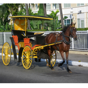 Carruaje Surrey de Caballos, Carroza Americana de Dos Plazas, California, EE. UU. - Product Image 1