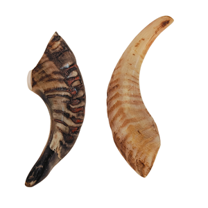 Bastón artesanal con mango de cuerno de carnero, vaca, buey o búfalo, de calidad superior y duradero. - Product Image 2