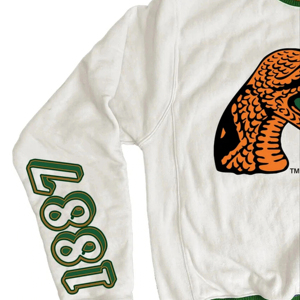 Sudadera de Cuello Redondo con Capucha de Felpa 100% Algodón de la Universidad Agrónoma y Mecánica de Florida (FAMU), Bordada, Otoño Invierno, Logotipo Personalizado - Product Image 4