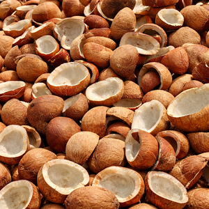 COPRA DE COCO DE CALIDAD DE EXPORTACIÓN DE VIETNAM - PRECIO COMPETITIVO/ SRA. ALINA - Product Image 1