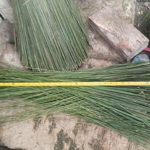 Escoba de palma (Sapu Lidi) de Indonesia - Product Image 4