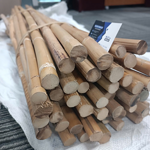 Bastones de Ratán Natural para Artes Marciales, con Piel, para Mayor Durabilidad y Resistencia, Exportador - Product Image 4