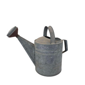 Arrosoir en métal argenté de style vintage, arrosoir de jardin en fer anti-fuite avec deux poignées et buse de pulvérisation pour patio et serre - Product Image 2