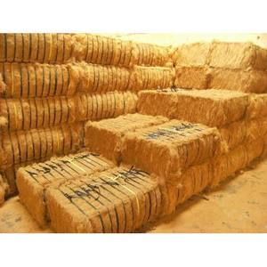 Varillas de Fibra de Coco Modernas para Plantas, Soporte de Musgo para Trepadoras, para Jardín e Invernadero, Tamaño 8mm, Fibra de Coco Cruda a Granel - Product Image 4