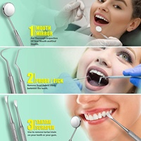 Ensemble de soins dentaires Détartrant pour le nettoyage des dents Utilisation pour animaux de compagnie Sonde dentaire Bouche Miroir Détartreur M/O Acier inoxydable de haute qualité