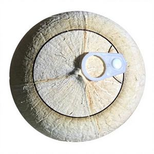 Coco joven fresco natural de Vietnam para refrescantes bebidas de jugo y deliciosa agua de coco en servicios de comedor de hoteles de lujo. - Product Image 3