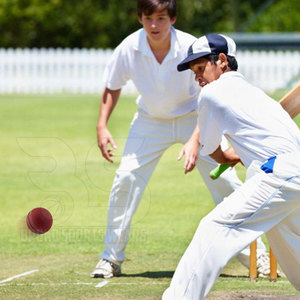 ลูกคริกเก็ตคุณภาพระดับมืออาชีพ หนังเย็บอย่างดี สำหรับการฝึกซ้อมและแข่งขัน อุปกรณ์กีฬาที่ทนทาน เหมาะสำหรับผู้ชายและเยาวชน - Product Image 5