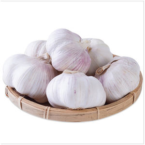 Ajo Fresco de Primera Calidad al por Mayor para Importadores Internacionales de Vegetales, Restaurantes y Distribuidores de Alimentos - Product Image 2