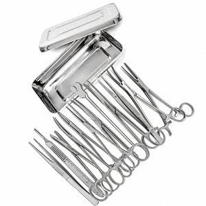 Juego de Instrumentos Quirúrgicos Veterinarios de Acero Inoxidable con Bandeja - Product Image 1