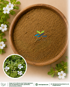 HGO Factory Direct Supply of Natural Bacopa Monnieri Extract Food Grade Bacopaside (Total Saponin) 20% 50% Standardized Extract - Product Image 1