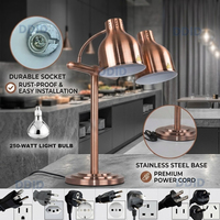 Lampe chauffante alimentaire professionnelle pour hôtels et cuisines commerciales, à tête unique, en acier inoxydable, avec col de cygne flexible doré, pour buffet