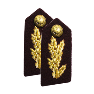 Gorgetas de Hombro de Diseño Personalizado al por Mayor, Servicio OEM, Gorgetas de Uniforme de Defensa en Stock - Product Image 5