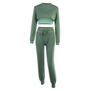 Sweat à capuche pour femmes, Streetwear, imperméable, Gym, Crop Top, manteau, usine, vêtements DHL, uni, Western, collection 2020 - Product Image 1