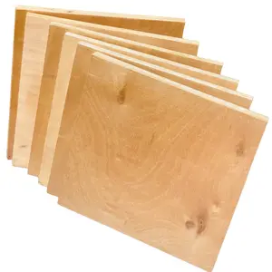 热销可重复使用的白色光泽胶合板硬木单面Bintangor胶合板和薄膜胶合板散装数量低最小起订量