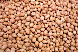 Exportation de noyaux d'arachides commerciaux, ingrédient alimentaire de nouvelle saison, arachides de qualité supérieure, ingrédient alimentaire frais, cacahuètes. - Product Image 1