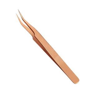 Pince à épiler réutilisable en acier inoxydable Raayin Impex, pointe inclinée, outil de maquillage pour l'épilation, beauté professionnelle pour femmes - Product Image 5