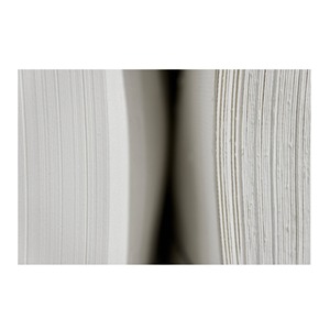 Pulpa de madera blanda blanqueada estándar de exportación para la industria global del papel y la producción comercial - Product Image 1