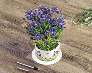 3D Pop Up Birthday Flowers Card with Envelope - Product Image 2