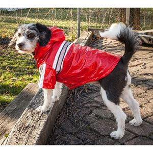 Impermeabile Regolabile in PVC per Animali Domestici, Design Riflettente e Luminoso per il Tuo Amico Peloso - Product Image 6