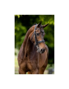 Brida Anatómica de Cuero Enrollado, Tamaño Completo, Brida Inglesa para Montar a Caballo, para Mayor Comodidad del Caballo - Product Image 5