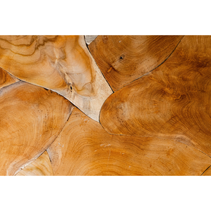 Mesa de Centro ARTERRA de Madera Rústica de Teca Hecha a Mano, con Textura Natural de Raíz de Teca que Resalta la Exquisita Belleza - Product Image 4