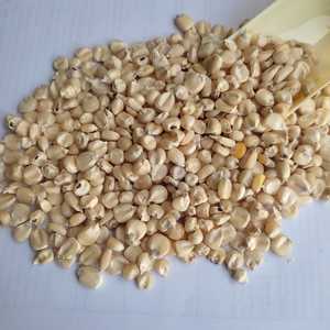 Ngô Trắng Số 2 Hỗn Hợp Với Số Lượng Lớn Với Chất Lượng Tốt Với Túi Mới Đóng Gói Mạnh Xuất Khẩu Từ Ấn Độ - Product Image 2