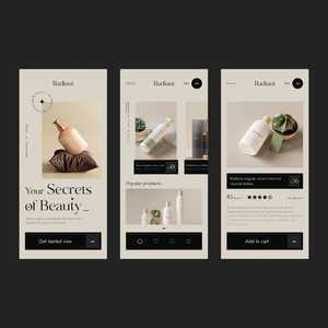 Desarrollo de Aplicaciones y Tiendas de Compras en Línea - Product Image 3