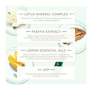 เรเน่ เฟอร์เทอร์เรอร์ ทริฟาซิก รีแอคชันแนล แฮร์ ลอส ทรีทเมนท์ - 5 มล. x 12 ขวด - Product Image 4