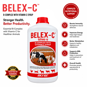 Suplemento líquido BELEX-C con complejo B y vitamina C para ganado, búfalos, terneros, ovejas, cabras y aves de corral. |   Paquete: 5 litros - Product Image 2