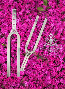 PAQUETE DE 2 SÓRDULOS TERTIARIOS DE FRECUENCIA DE CHAKRAS PARA CORAZÓN Y CROWN, INMATERIALS ESSENCIALES DE LABORATORIO - Product Image 5