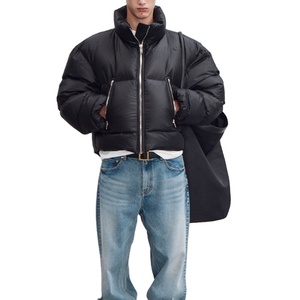 Manteau d'hiver court en duvet pour hommes Veste chaude en duvet pour hommes de haute qualité 2026 - Product Image 4