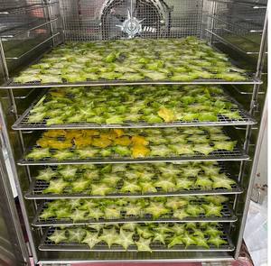 Rodajas de Carambola Deshidratadas Naturales para Infusión de Té, Ingrediente para Infusión Herbal - Product Image 5