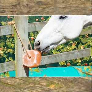 Lèche de sel naturel de l'Himalaya pour animaux de compagnie et bétail Supplément artisanal pour garder chiens porcs chevaux animaux heureux et en bonne santé - Product Image 1