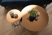 Mesa de Centro Redonda Premium y Duradera con Tapa de Vidrio Templado y Base de Metal, Diseño Contemporáneo para Sala de Estar y Proyectos Residenciales LUUOMA