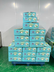 Coco Joven Premium de Ben Tre, Vietnam, con Cáscara Entera, Forma de Diamante, Piel Verde, Fácil de Abrir, 70-90 Días de Vida Útil, Techmifood - Product Image 5