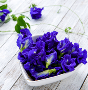 Thé aux fleurs de pois papillon bleu en vrac, tisane naturelle biologique, ingrédient amincissant et bienfaçant pour la santé, approvisionnement en vrac du Vietnam, EXPAD Cup - Product Image 5