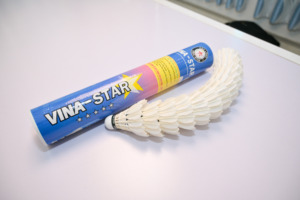 ลูกขนไก่กราไฟต์ OEM ระดับทัวร์นาเมนต์ สำหรับมืออาชีพ ความเร็วสูง น้ำหนักเบา ทนทานเป็นพิเศษ เสถียรภาพดี เหมาะสำหรับการแข่งขันในร่ม - Product Image 4