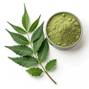 Poudre de feuilles de Neem en vrac, poudre de feuilles de Neem 100% naturelle de qualité cosmétique, poudre de feuilles de Neem pour les soins des cheveux et de la peau - Product Image 5