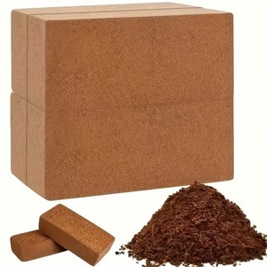 บ่อเลี้ยงมะพร้าวสำหรับมืออาชีพเกษตรกรรม - Product Image 3