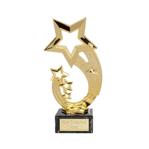 Trophée étoile avec base en bois – Trophée personnalisé pour événements sportifs, scolaires, d'entreprise, cérémonies de récompenses et d'hommages - Product Image 5