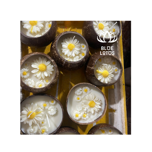 Bougie en Coque de Noix de Coco Sûre et Écologique, Cire de Soja Végétale Pure 2026, Idéale pour la Décoration de Fêtes et la Méditation Yoga – Vente Directe Usine – Meilleures Ventes - Product Image 5