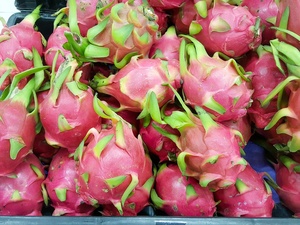 Dragon Fruit Sucré Congelé Premium - IQF Fruits Tropicaux - Qualité Export en Gros - Product Image 4