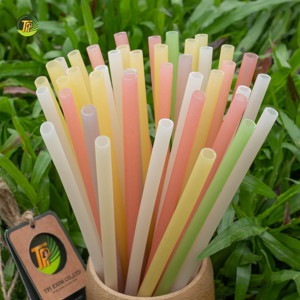 Pailles à boire jetables biodégradables et compostables en fibre de riz vietnamienne, 6-8 mm, 20 cm, naturelles, pour bubble tea, café, jus - Product Image 1
