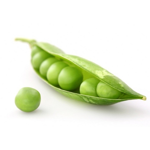 Petits pois verts séchés de qualité supérieure, qualité alimentaire, à bas prix - Product Image 4