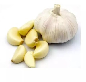 Ail frais pelé de qualité supérieure en gros à prix avantageux - Product Image 1