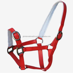Licou de cheval multicolore enduit de PVC imperméable avec matériel en métal équipement d'équitation bride de licou de cheval - Product Image 5